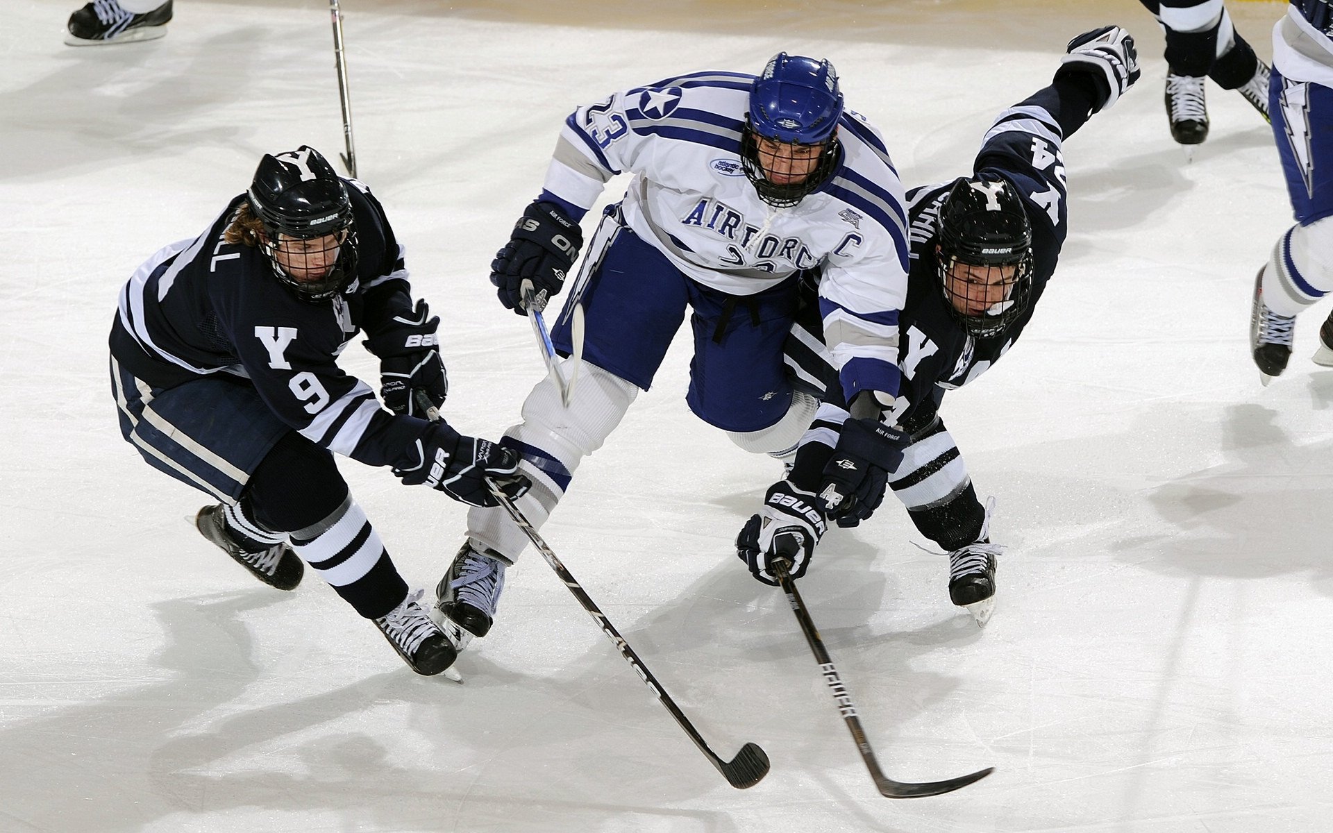 水墨篮球：青少年书画融合篮球文化展在上海开幕，书法篮球